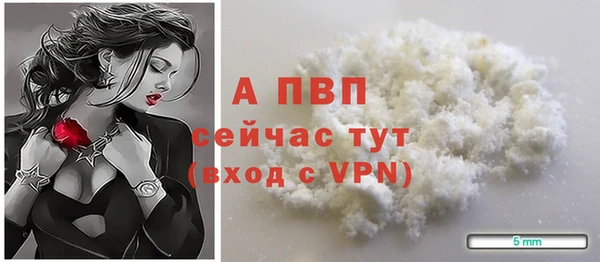 индика Майский