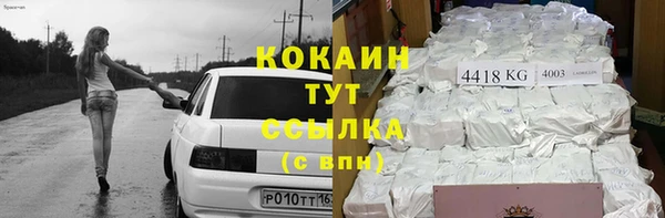 индика Майский