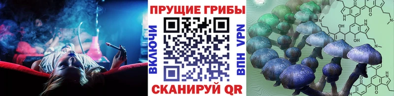 Галлюциногенные грибы Cubensis Менделеевск