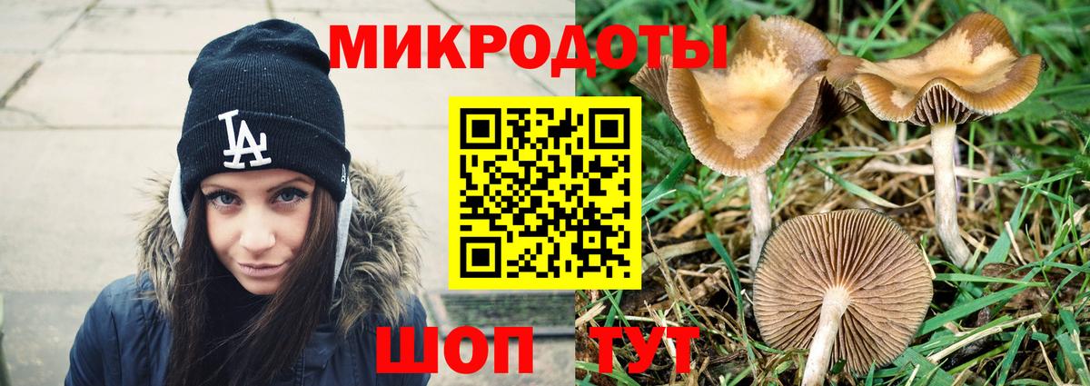 Галлюциногенные грибы прущие грибы  Вход с VPN  купить   Менделеевск 