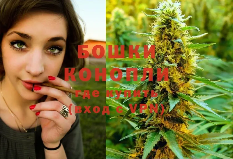 Бошки Шишки White Widow  где купить   площадка состав  Менделеевск 